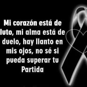 Meet your Posher, Luis